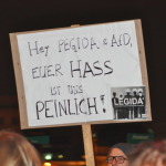 Tegida am 05.01.2015 in Hamburg